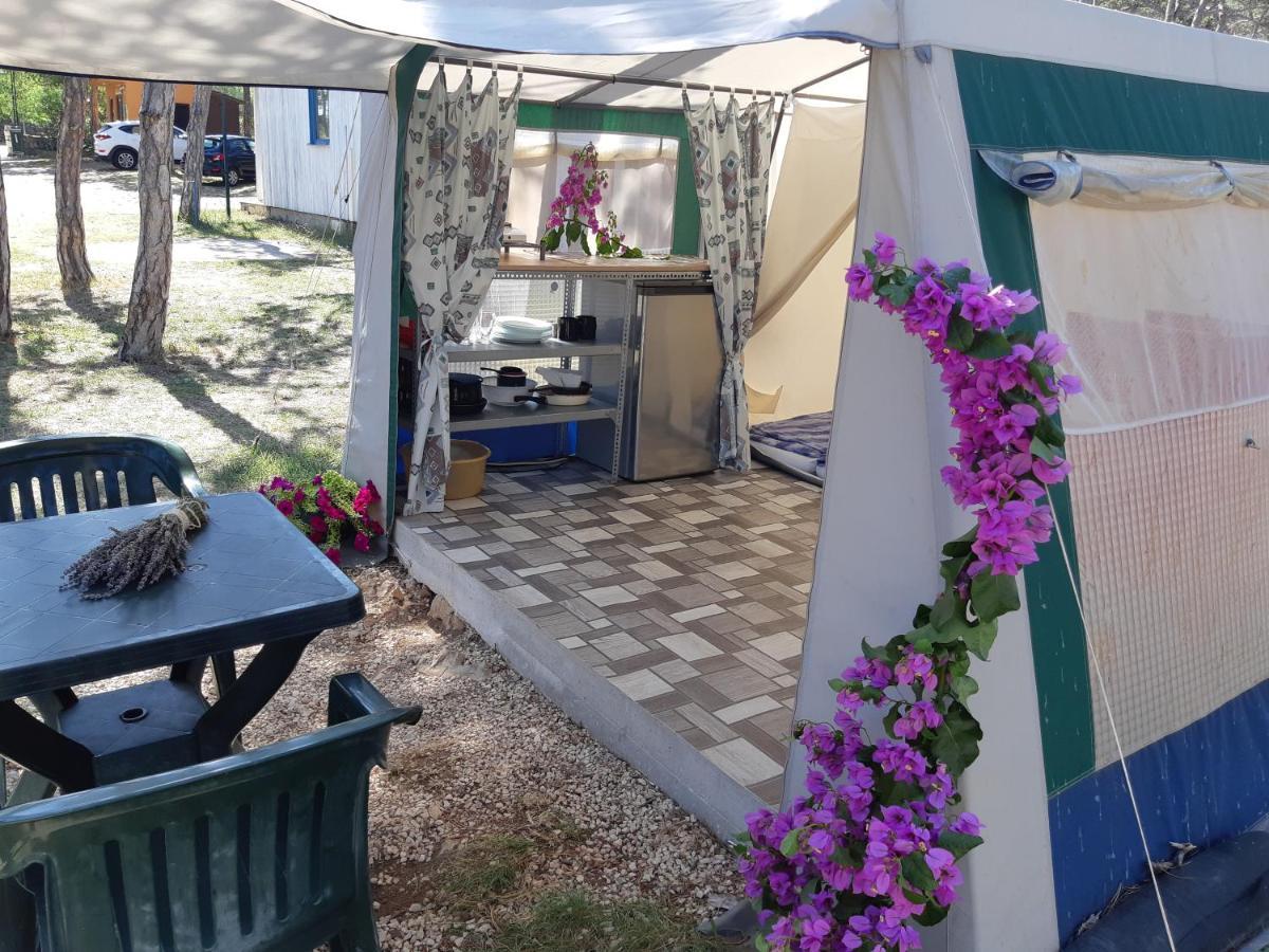 Hotel Camping Planik Ražanac Exteriér fotografie