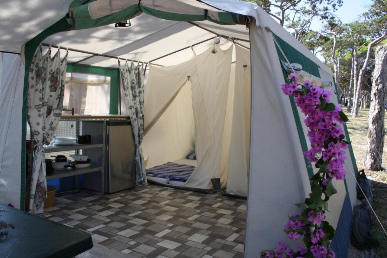 Hotel Camping Planik Ražanac Exteriér fotografie