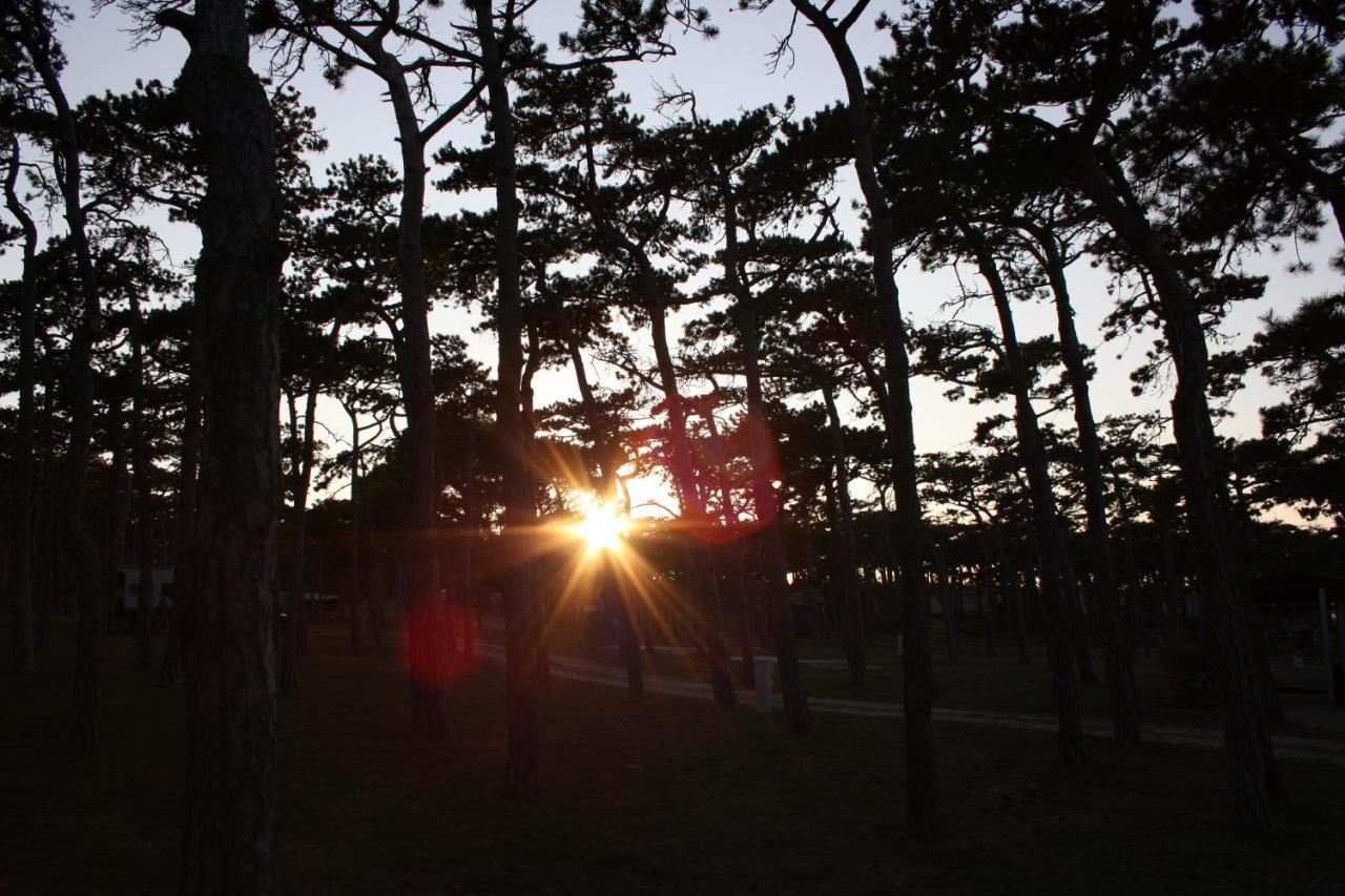 Hotel Camping Planik Ražanac Exteriér fotografie