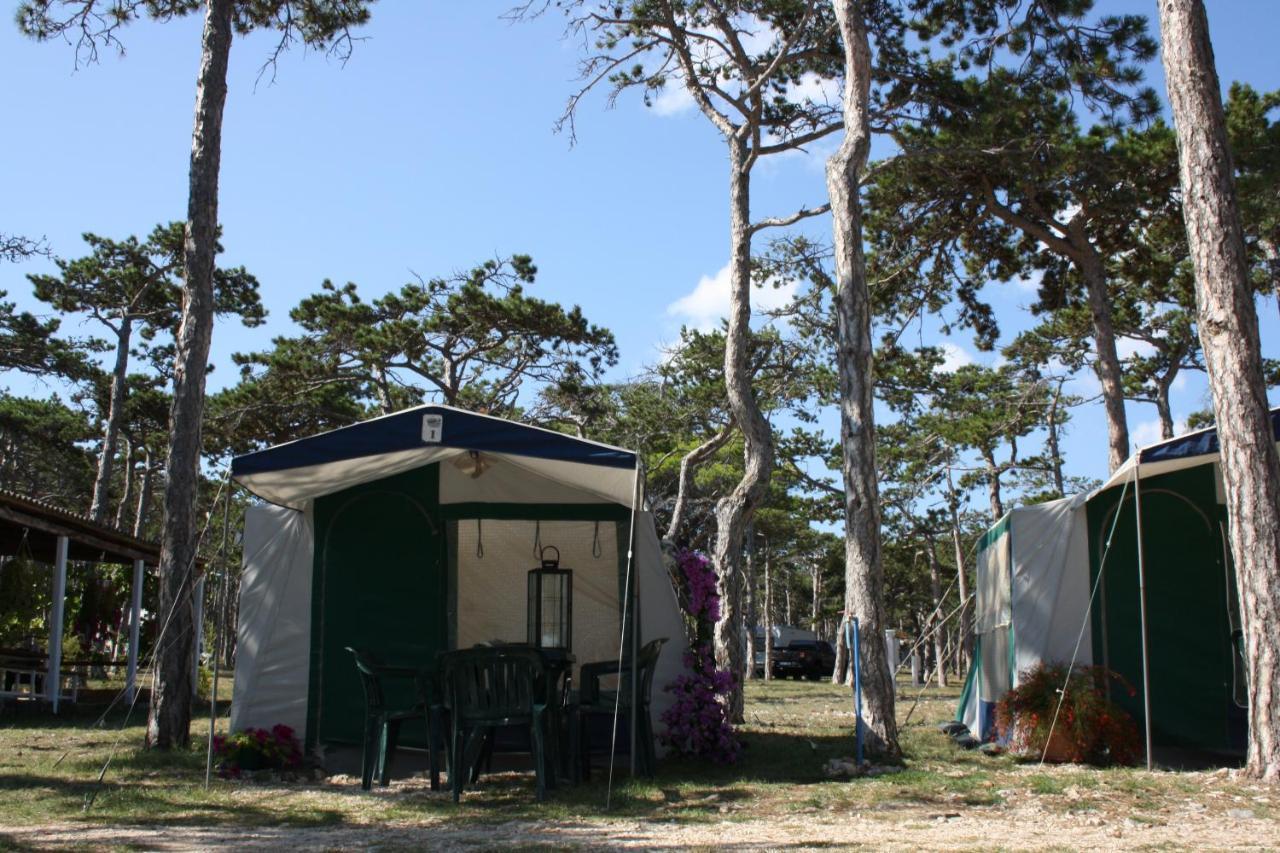 Hotel Camping Planik Ražanac Exteriér fotografie