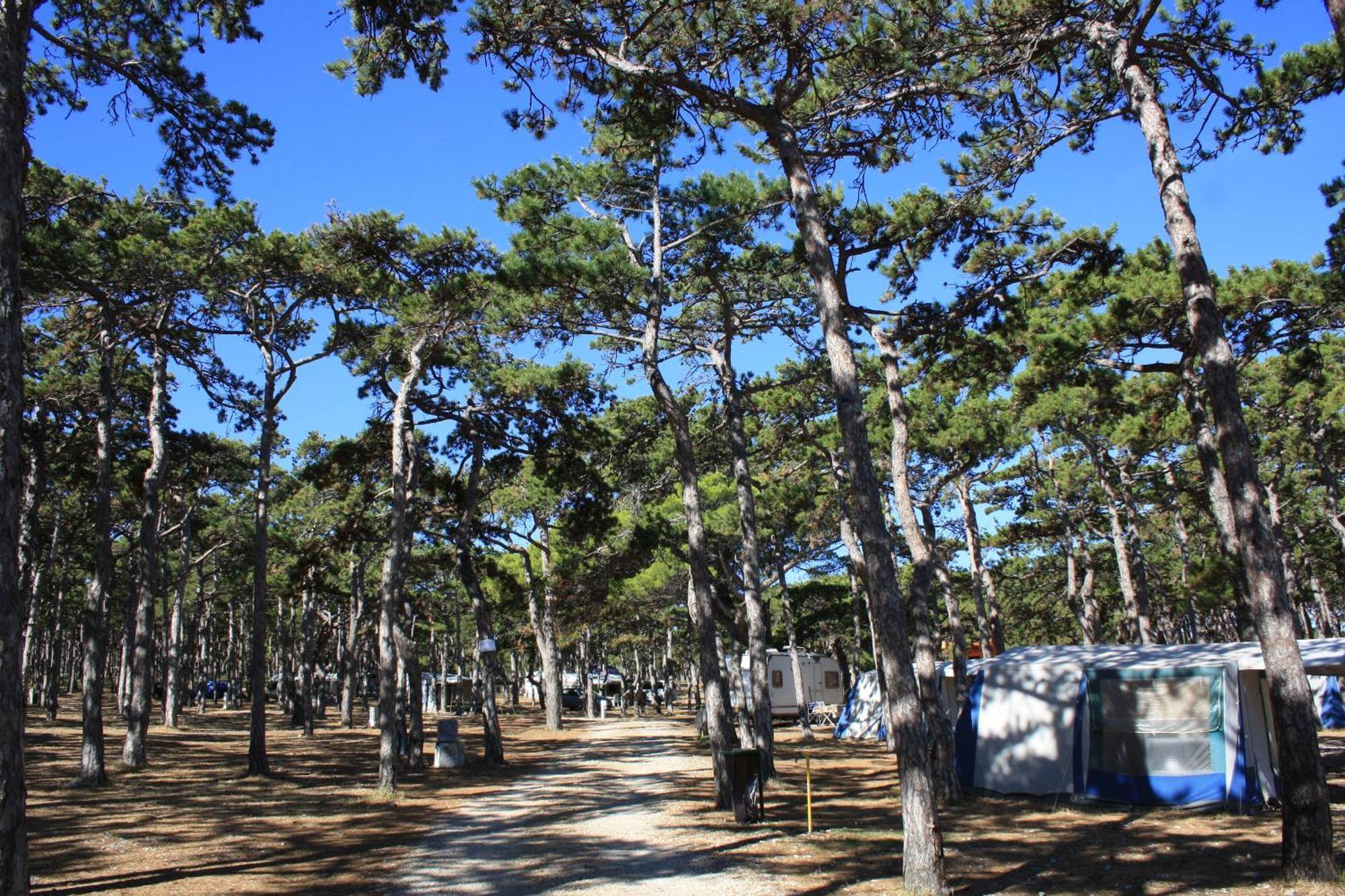 Hotel Camping Planik Ražanac Exteriér fotografie